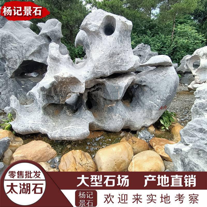 【精品太湖石图片 太湖石假山造景 太湖石价格图片】精品太湖石图片 太湖石假山造景 太湖石价格 - 英德市望埠镇杨记景石场
