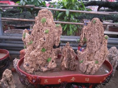 假山盆景图片