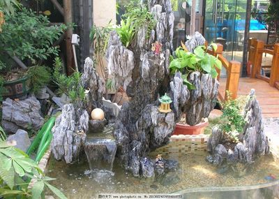 假山山水图