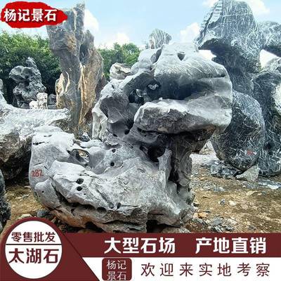 【大型景观石太湖石假山 量大价格从优图片】大型景观石太湖石假山 量大价格从优 - 英德市望埠镇杨记景石场