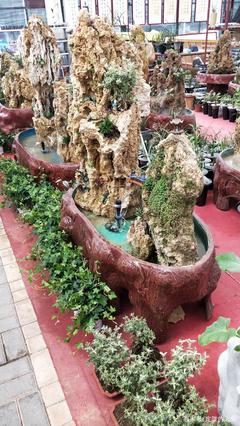假山盆景摆放家里很好看