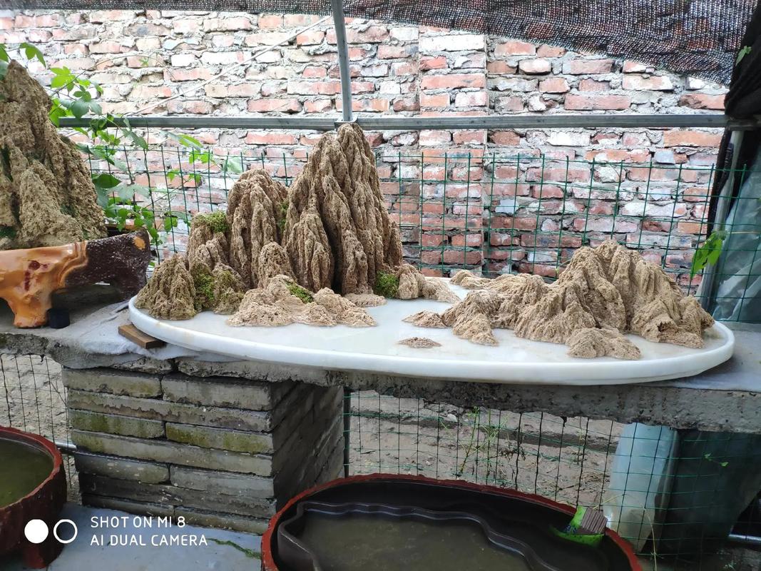 吸水石 #鱼池假山 #庭院景观 #锦鲤池 吸水石假山合集