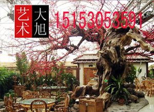 合肥生态园假山 大旭园林景观