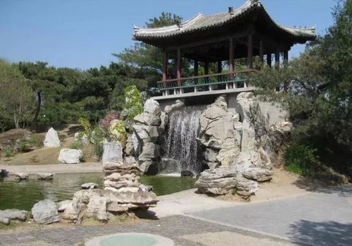 当植物遇见叠石,假山植物景观设计师必读