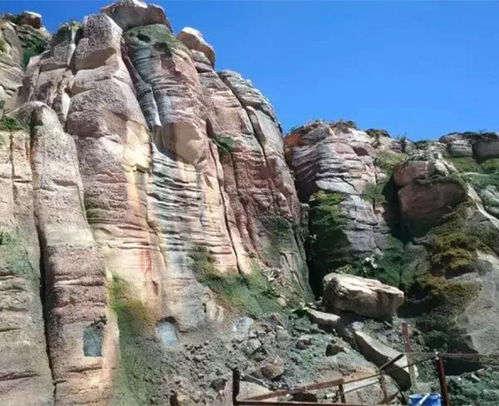 水泥假山公司 上海假山 宣城石斧景观