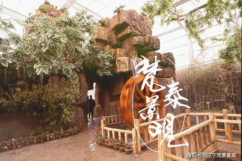 庭院假山景观