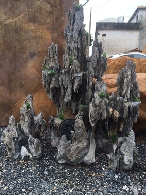 景观石大全-假山常用景观石