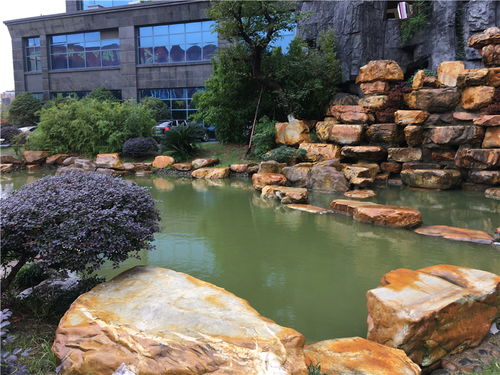 景观假山鱼池若无过滤系统的后果与影响