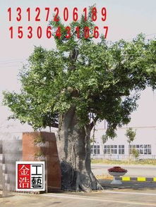 临沂生态园大门与假树施工: 山东金浩假山假树溶洞景观雕塑公司的高清施工图片